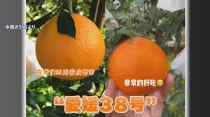 TBS NEWS DIG - TBSテレビ