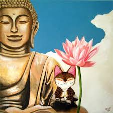 catmaSutra (Paul Koh)