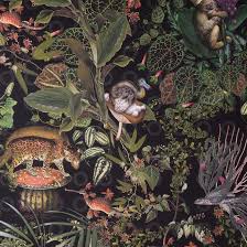 Birds Of Paradise Wallpaper The Range Moooi Pays Tribute To Extinct Animals With Range Of Wallpaper And Carpets Animal Wallpaper Moooi Extinct Animals