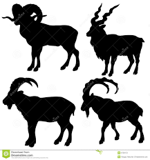 Black And White Goat Vector Silhouette Mountain Ram Sheep Silhouette Silhouette Art Silouette Art