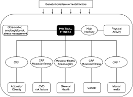 Chinese scholars on exercise physiology and fitness (scsepf), the physical fitness . Physical Fitness In Childhood And Adolescence A Powerful Marker Of Health International Journal Of Obesity