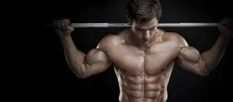 What Are The Best Exercises For Each Muscle Group Good Pre Workout Pre Workout Supplement Get Abs Fast