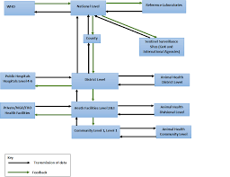The Idsr Disease Surveillance System In Kenya Knowledge That You Deserve