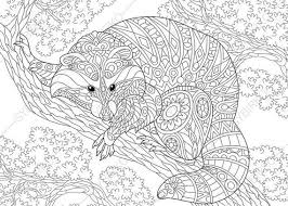 Download all free raccoon coloring pages and enjoy colorful world of colors. Coloring Pages For Adults Digital Coloring Pages Raccoon Etsy In 2021 Animal Coloring Pages Animal Coloring Books Coloring Pages