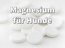 Besonders schlimm mit innerer unruhe, angst und hohem ruhepuls. Magnesium Fur Hunde Dosierung Wirkung Und Erfahrungen