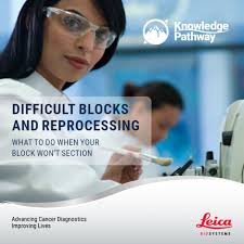 Samuel Armin Arminson