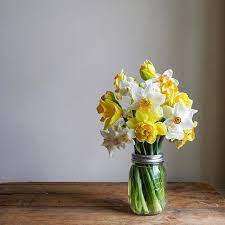 No Title Yellow Flower Arrangements Beautiful Flowers Narcissus Flower