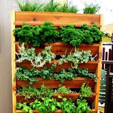 30 Mini Garden Design Ideas Recycling Wood Pallets Garden Design Mini Garden Vertical Garden Diy