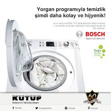 Kutup A S Panosundaki Pin