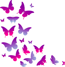 We did not find results for: Purple Butterflies Flying Butterfly Sticker Tenstickers