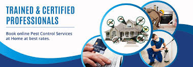 It is important to make sure the pest control company you choose is each company must have at least one certified, licensed commercial pesticide applicator in the proper service category. Mumbai Pest Control Services In Thane Get Doctors Pest Control