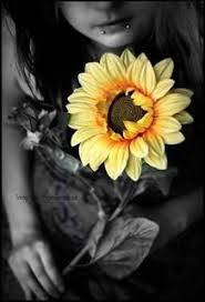 Black And White With Pop Of Color Art Australia Flower Jpg Photo By J 33 J Photobucket Color Splash Color Splash Photography Sunflower Photo
