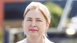 Climate 200 and Brendan Blomeley target federal Labor minister Julie  Collins