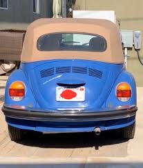 Image result for Delta Green 1968 Beetle