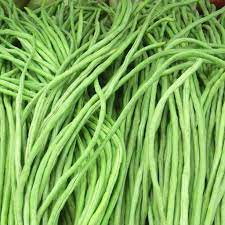 Bean Yard Long Light Green Noodle Vigna Unguiculata Subsp Sesquipedalis Long Bean Asparagus Beans Chinese Long Beans