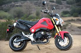 Honda Grom Dirt Bike Magazine