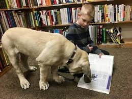 The puppy socialization checklist includes specific things to socialize your puppy to and the the more places you go for puppy socialization, the more exposure he will have to a variety of sounds. Puppy Socialization 5 Common Mistakes You Don T Want To Make