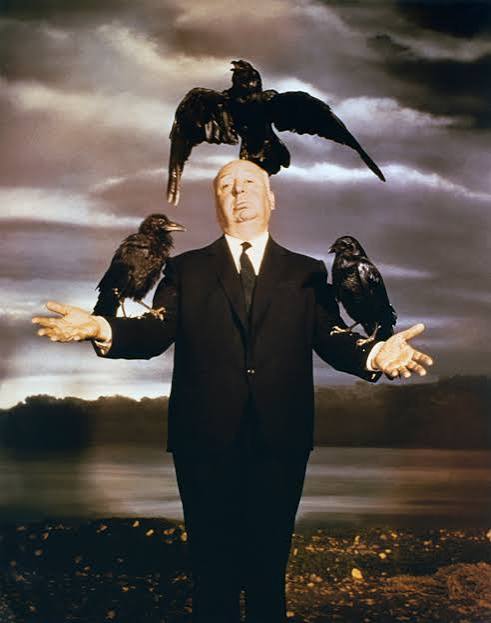 BirdNote: Hitchcock's Movie, The Birds | KNKX Public Radio