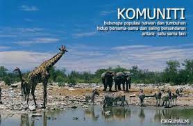 Saling bersandaran antara organisma hidup dengan persekitaran. Saling Bersandaran Antara Organisma Hidup Spesies Populasi Komuniti Habitat Dan Ekosistem