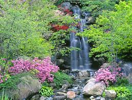 Wish I Could Be Here Right Now So Beautiful And Peaceful Japanese Garden Plants Japanese Garden Design Japanese Rock Garden