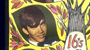 Bill, Bob, Barry, John, Paul, Dick and Susan Cowsill