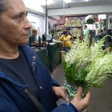 explorando novas tendências!!!