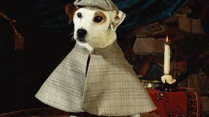 By tom perrotta | apr 1, 1998. Wishbone Tv Show Facts Mental Floss