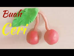 Pada kesempatan kali ini, decyra mau membahas mengenai nama nama. Buah Ceri Dari Plastisin Cara Membuat Buah Youtube