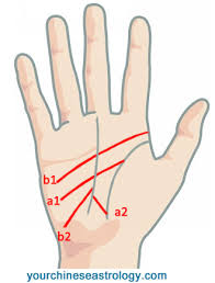 Will You Have Love Or Arranged Marriage Palmistry Reading