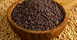 Image result for Brassica juncea