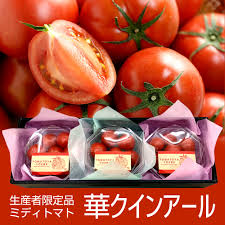 生産者限定 ミディトマト 華クインアール 約660g パック詰め 化粧箱入り 山形県最上町産 とまとやよずべぇ | 日本ロイヤルガストロ倶楽部
