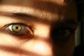 Pin By Poli On Eyeballs Hazel Green Eyes Rare Eyes Hazel Eyes
