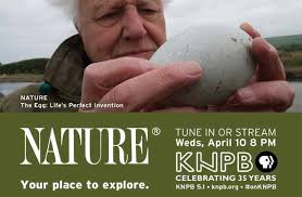 Warren: Democrats' message must be more than 'not-Trump'