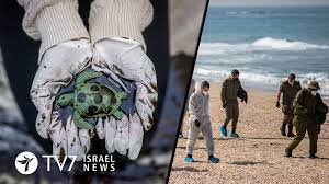 Khalil a cassimally mauritius oil spill: Israel Blames Iran For Oil Spill Tv7 Israel News