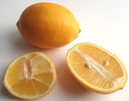 Maybe you would like to learn more about one of these? How To Grow A Meyer Lemon Tree Indoors Or Outdoors Dengarden