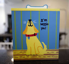 Check spelling or type a new query. Cat Dog Grooming Naples Fl Nail Trimming Bonita Springs Estero Florida