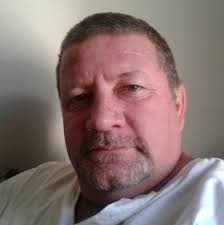 Incident involving cows in downtown Westminster.