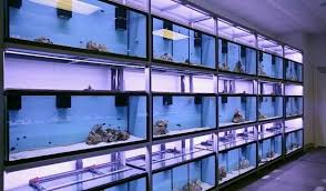 F = ab + a'b + ab' penyelesaian: Pin On Aquarium Stores And Garages