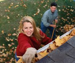 Receive multiple quotes · only takes 1 minute · save up to 40% How To Clean Your Gutters Lv