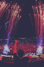 Rave Republic Sunburn Music Festival Goa