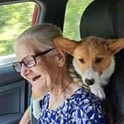 Search for Obituaries