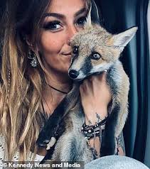 Adorable and unlikely friendship sees fox and hound snuggle and play  together