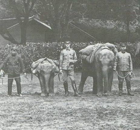 Elephants flee with guns during 1892 India military maneuver