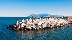 Doodles beachfront has a vibrant, dynamic atmosphere unlike any other. A Guide To Robben Island Travellocal