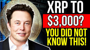 Also worth dispelling a couple of myths being thrown around in some of these answers. Elon Musk How Much Will Xrp Be Worth In December 2021 Xrp Price Prediction Xrp News 2021 Youtube