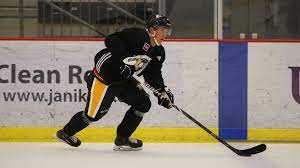 Filip hallander is the perfect fit for the penguins organizational mantra. Pens Sign Forward Filip Hallander To A Three Year Entry Level Contract