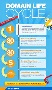 Domain Life Cycle Increases Your Awareness And Understanding On What Happens To Your Domain If You Do Not Take Immediate Action To Life Cycles Infographic Life