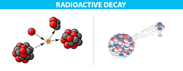 It measures the levels of carbon 12, a radioactive substance in everything, and based on how much is left scientists can determine. What Is The Meaning Of Radioactive Decay