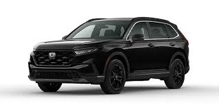 Image result for Crystal Black 2012 Pilot