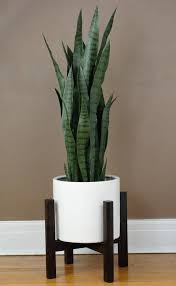 Branton Plant Stand En 2020 Deco Plantes Interieur Plantes De Decor De Maison Et Idee Deco Maison